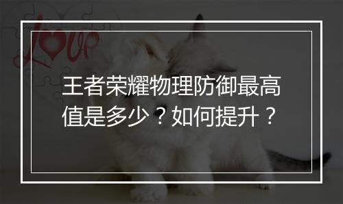 王者荣耀物理防御最高值是多少?如何提升?