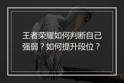 王者荣耀如何判断自己强弱?如何提升段位?