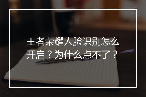 王者荣耀人脸识别怎么开启?为什么点不了?