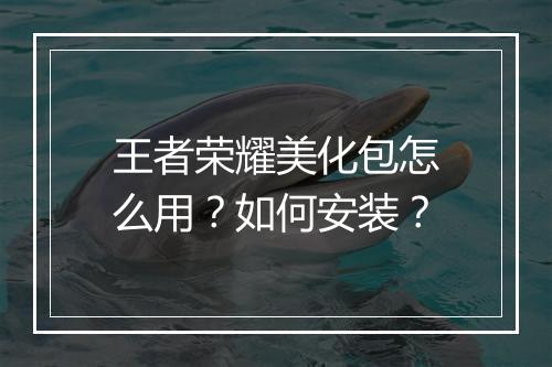 王者荣耀美化包怎么用?如何安装?