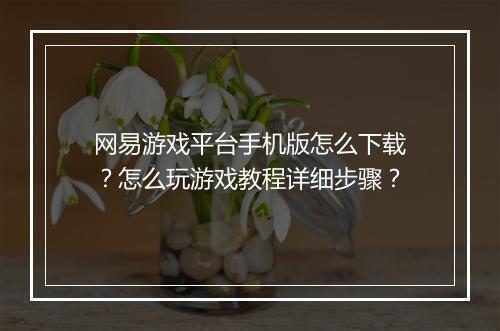 网易游戏平台手机版怎么下载?怎么玩游戏教程详细步骤?