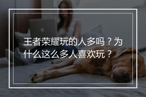 王者荣耀玩的人多吗?为什么这么多人喜欢玩?