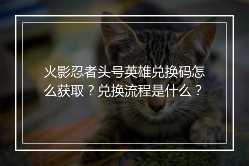 火影忍者头号英雄兑换码怎么获取?兑换流程是什么?
