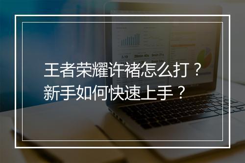王者荣耀许褚怎么打?新手如何快速上手?