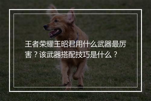王者荣耀王昭君用什么武器最厉害?该武器搭配技巧是什么?