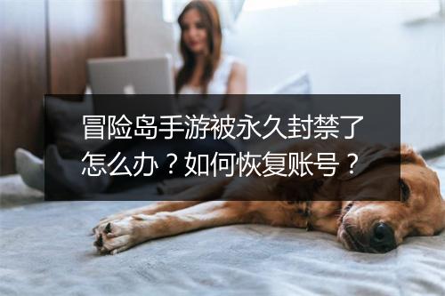 冒险岛手游被永久封禁了怎么办?如何恢复账号?