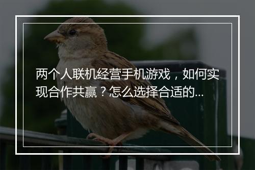 两个人联机经营手机游戏,如何实现合作共赢?怎么选择合适的游戏?