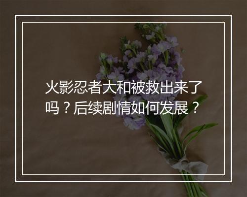 火影忍者大和被救出来了吗?后续剧情如何发展?