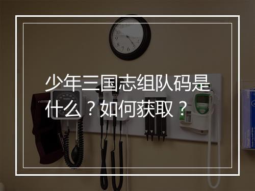 少年三国志组队码是什么?如何获取?