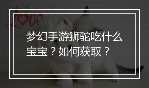 梦幻手游狮驼吃什么宝宝?如何获取?