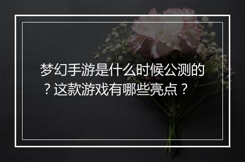 梦幻手游是什么时候公测的?这款游戏有哪些亮点?