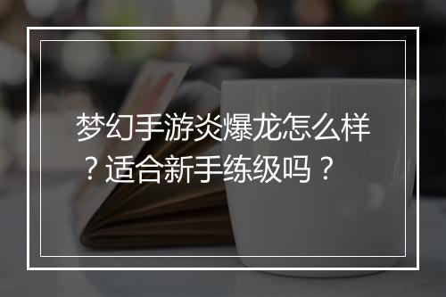 梦幻手游炎爆龙怎么样?适合新手练级吗?