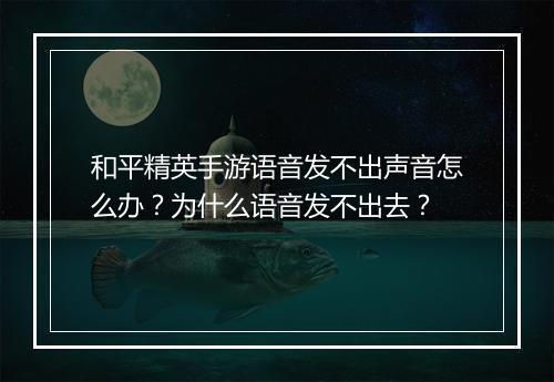 和平精英手游语音发不出声音怎么办?为什么语音发不出去?