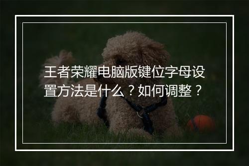 王者荣耀电脑版键位字母设置方法是什么?如何调整?