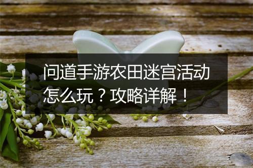 问道手游农田迷宫活动怎么玩？攻略详解！