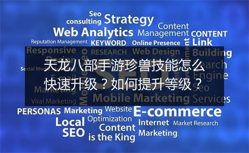 天龙八部手游珍兽技能怎么快速升级?如何提升等级?