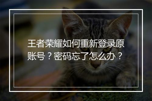 王者荣耀如何重新登录原账号?密码忘了怎么办?