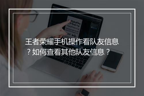 王者荣耀手机操作看队友信息?如何查看其他队友信息?
