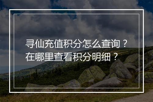 寻仙充值积分怎么查询?在哪里查看积分明细?