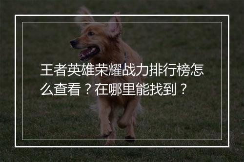 王者英雄荣耀战力排行榜怎么查看?在哪里能找到?