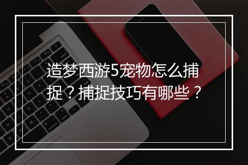 造梦西游5宠物怎么捕捉？捕捉技巧有哪些？