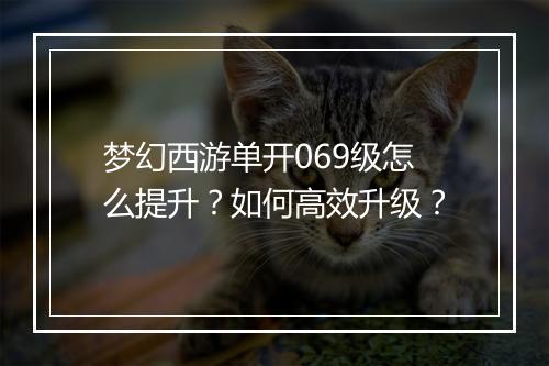 梦幻西游单开069级怎么提升?如何高效升级?