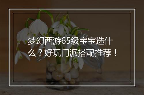 梦幻西游65级宝宝选什么?好玩门派搭配推荐!