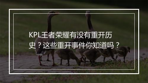 KPL王者荣耀有没有重开历史?这些重开事件你知道吗?