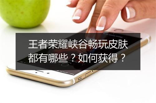 王者荣耀峡谷畅玩皮肤都有哪些？如何获得？