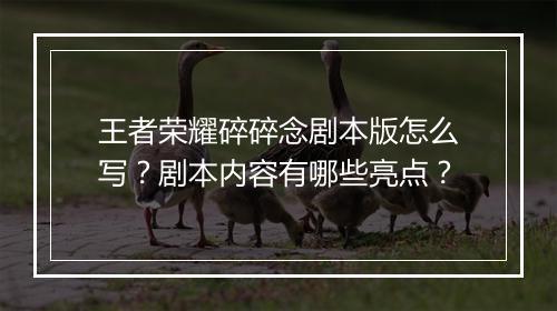 王者荣耀碎碎念剧本版怎么写？剧本内容有哪些亮点？