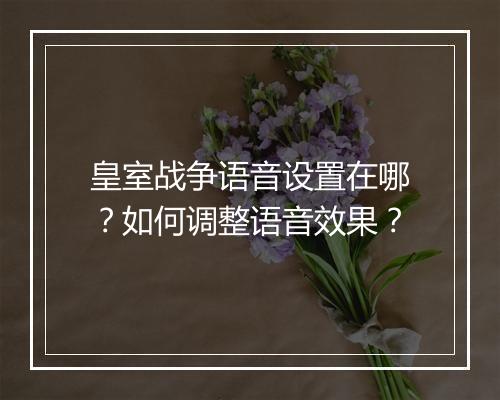 皇室战争语音设置在哪？如何调整语音效果？