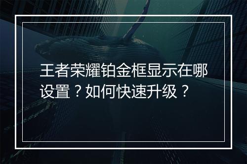 王者荣耀铂金框显示在哪设置？如何快速升级？