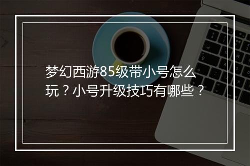 梦幻西游85级带小号怎么玩？小号升级技巧有哪些？