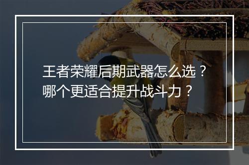 王者荣耀后期武器怎么选？哪个更适合提升战斗力？