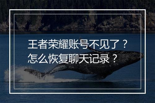 王者荣耀账号不见了？怎么恢复聊天记录？