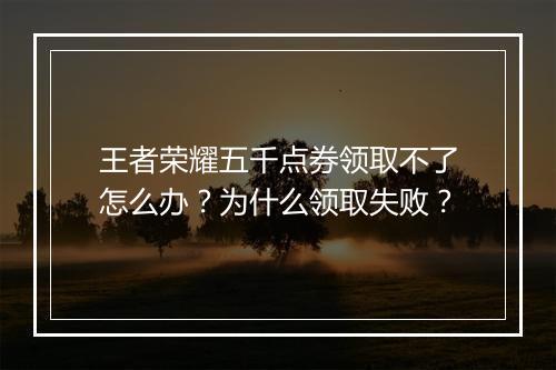 王者荣耀五千点券领取不了怎么办？为什么领取失败？