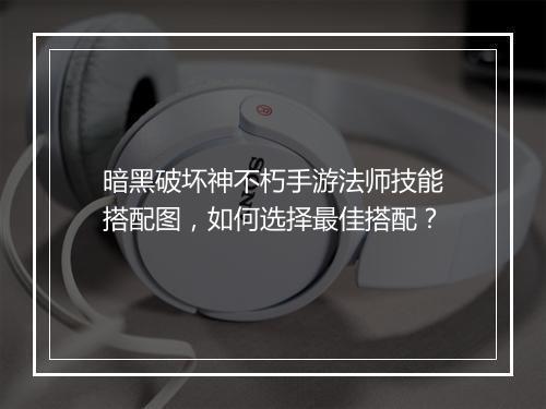 暗黑破坏神不朽手游法师技能搭配图，如何选择最佳搭配？